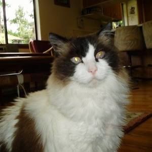 Meet your Posher, Debi